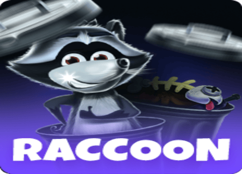 Raccoon